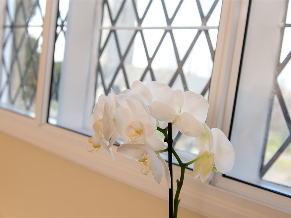 Bed and Breakfast The School House Bridgwater Exteriér fotografie