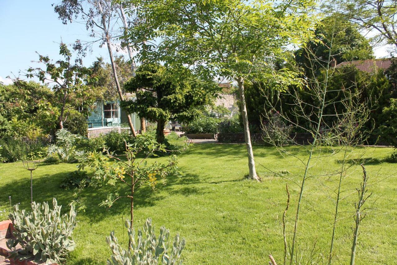 Bed and Breakfast The School House Bridgwater Exteriér fotografie